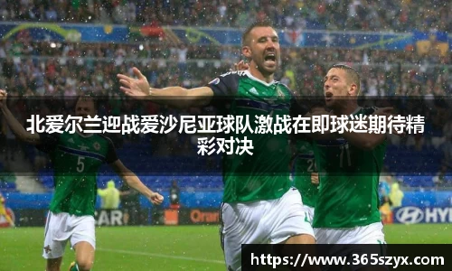 北爱尔兰迎战爱沙尼亚球队激战在即球迷期待精彩对决